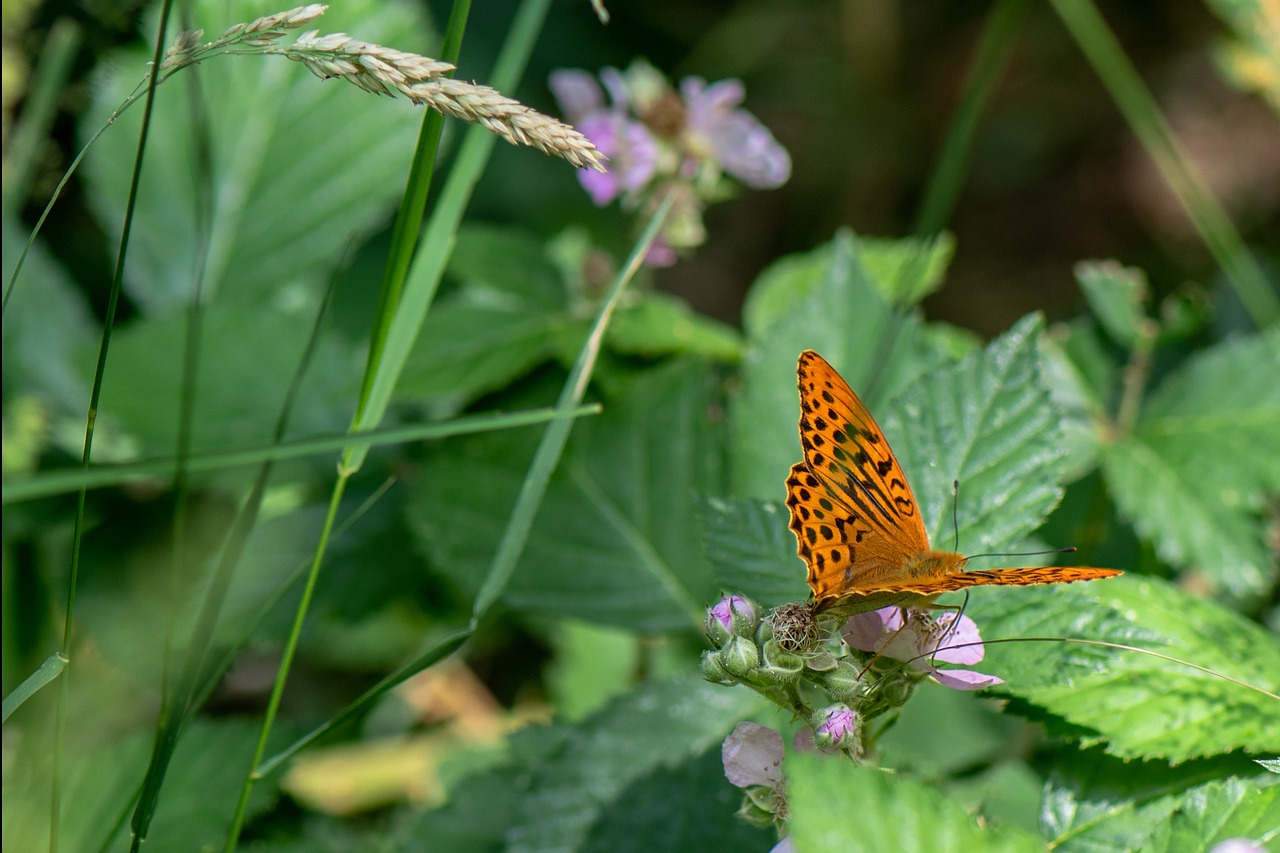Essential Eco-Friendly Farm Survival Tips